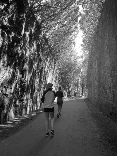 Spanien - Anaga - One week Island Life 🌴 Eco Whale Watching, volcanic terrain, pass by banana plantations 🍌, crystal clear water and beautiful nature walks! - 2