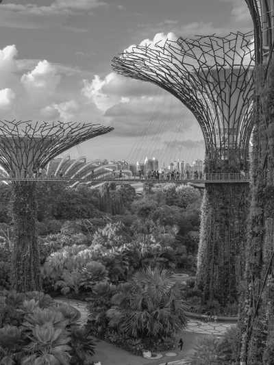 South-eastern Asia - Singapore - 10-Day Asian Exploration: Bangkok, Phuket, Kuala Lumpur, Singapore - 3