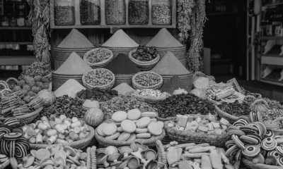 Saudi-Arabien - Medina - Saudi Arabia 🐪: Road trip through the UNESCO's AlUla, Edge of the world, 🌋 Lava fields, 🥾 Canyon hike, Culture 🇸🇦 - 4