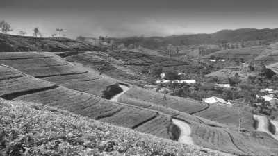 Sri Lanka - Kandy - Tropical Roundtrips: Discovering Sri Lanka's Wonders - 4