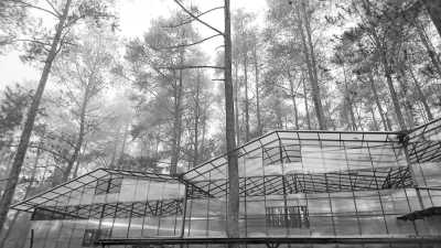 Indonesia - Orchid Forest Cikole - Bandung Bliss: 4 Days of Culture, Cuisine, and Natural Wonders in Indonesia