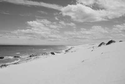 Südafrika - Overberg District Municipality - Südafrika - Das Kap trifft die Tierwelt des Krüger Nationalparks: Auf der Suche nach den Big 7 - 2