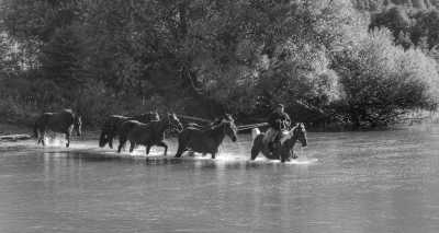 Argentina - El Hoyo - Majestic Horse Riding Adventure,"Eye To Eye with the Condor" - 1