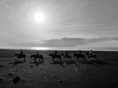 Iceland - Vik - 8 days in Iceland with Westman islands, Ice cave and Blue lagoon - 1