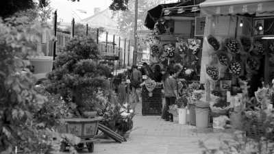 Hong Kong - Mong Kok - Hong Kong Coworking Escape: Creamfields Festival, Hiking, and Street Food Highlights! 🎶 - 5