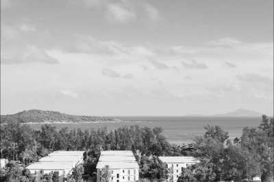 Thailand - Phuket - Swimming with Elephants and Snorkeling in Phuket, Thailand: Island Paradise, Majestic Elephants, Spectacular Snorkeling, and Local Cuisine - 21