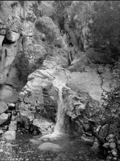 Greece - Psathas Beach - Pure Greece Madness Athen, Mykonos and more! 🇬🇷🏛🥂 - 5