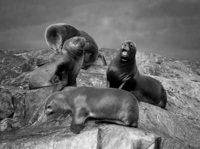 World - Ushuaia - Expedition to the End of the Earth: Discover Antarctica and Argentina