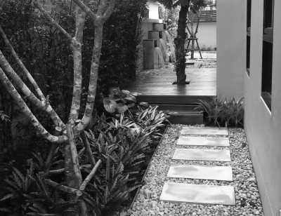 Thailand - Jatujak Plaza - Bangkok CoWork and Explore Extravaganza - Work from Thailand - 2