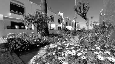 Portugal - Albufeira - Coworking in the South of Portugal at a Pool Villa Resort - 2