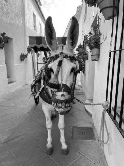 Spain - Mijas Pueblo - Co-working in an Andalusian village with yoga and yoga hike included - 4