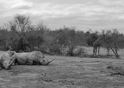 South Africa - Aquila Private Game Reserve - Women's Wellness Journey - Sacred Sisterhood - 7