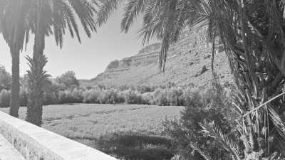 Marokko - Ziz Oasis - Moroccan Roadtrip - Into the Desert - 1
