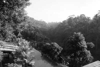 Indonesien - Ubud - The Ultimate Bali Content Creation Tour - Explore, Learn, and Grow Your Personal Brand in the Most Beautiful Places in 12 days! - 2