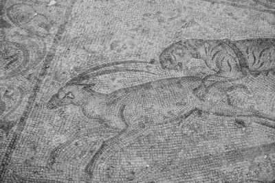 Italy - Marsala - 2 Weeks CoWorking  in Sicily  Hidden gems, good food and beaches - 5