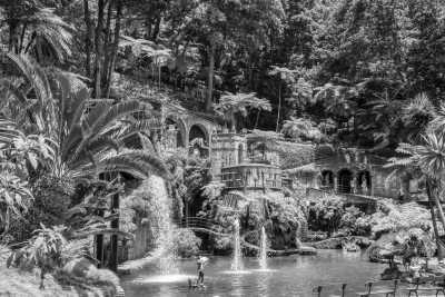 Portugal - Funchal - Madeira Paradise Co-working! ☀️ Yoga, sea Views, Nature and Exploration - 6