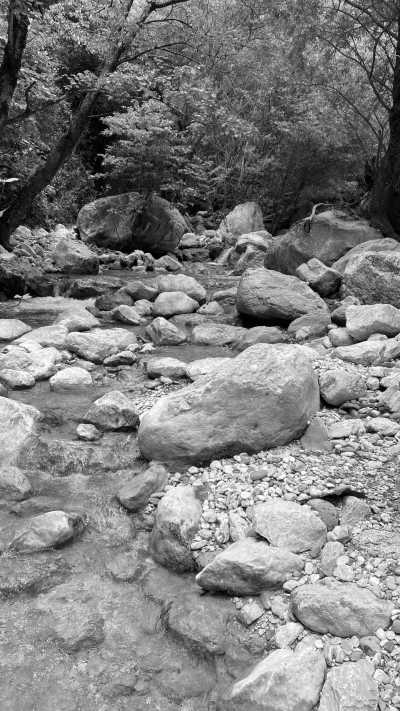 Georgien - Gamoghma Nogha - Roadtrip durch Georgien / Imeretien - 1