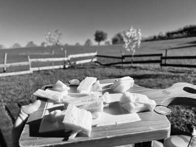 Italien - Zocca - Incredible Food Tour in Italy: Parmigiano, Prosciutto, Balsamic Vinegar, Gelato & Wine