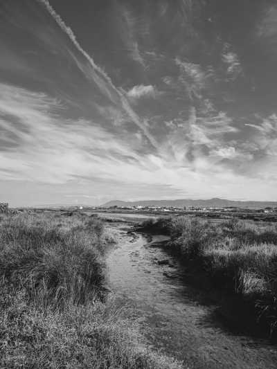 Southern Europe - Antas Guest House (Villa) - A Slow and Soulful Walk on the Portuguese Coastal Camino - 3