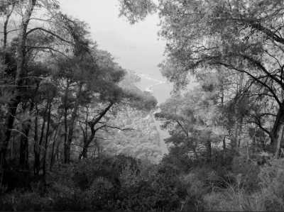 Greece - Psathas Beach - Pure Greece Madness Athen, Mykonos and more! 🇬🇷🏛🥂 - 2