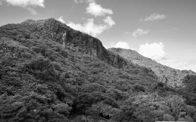 Puerto Rico - El Yunque National Forest - Let's create some content: A photographer's Adventure-Packed Trip to Puerto Rico - 1