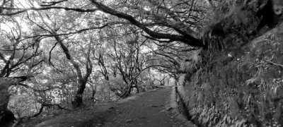 Portugal - Autonome Region Madeira - Wander Retreat Madeira: Körper und Seele im Einklang - geführte Wanderungen, Meditation, vegane Kochsessions, mentales Coaching - 9