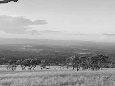 Burundi - Join me on a trip to Burundi 🇧🇮 - Experience a real adventure in one of the world's most friendly countries - JoinMyTrip