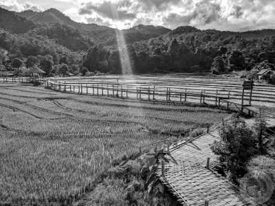 Thailand - Pai Walking Street - 🇹🇭 Nordthailand entdecken - Thailand Backpacking Trip vom alten Königreich Sukhothai bis nach Pai 🍻🏯🌿🐘 Nightlife, Culture, Nature & Fun - 1