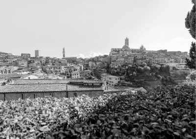 Italy - CHIANTI WINE TOUR - Explore Siena with a Sunset Dinner in Chianti Vineyards - La dolce vita! - 1