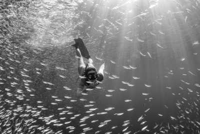 Mexico - Isla Espiritu Santo - Baja California Mexico: 8 Day Whale & Whale Shark Safari + Glamping - 15