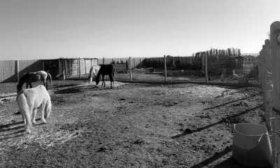 Marokko - BIO ET BOIS - Discover the Hidden Gems of Fez: A Journey Through Morocco's Cultural Capital - 10
