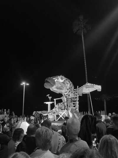 Spain - Santa Cruz de Tenerife - Carnaval & More 🥁🌴  Let's enjoy Tenerife's nature, mountains and beaches during the day, and party at the biggest Carnaval of Europe on various evenings 💃🏽 - 8