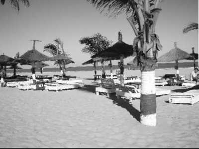 Gambia, The - Dominos Beachbar - Abenteuerreise nach Paradise Island in Afrika - Gambia (Guided Trip) 😊 - 3