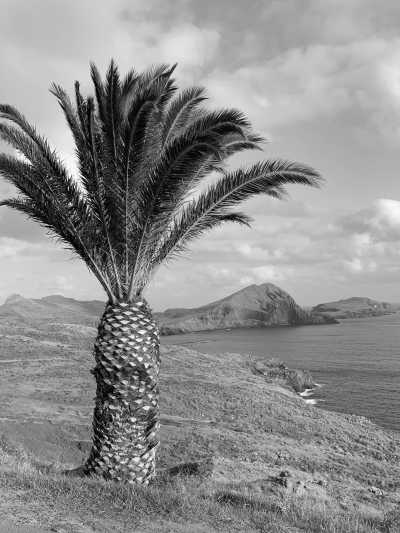 Portugal - Ponta de São Lourenço Experience - Madeira Island Adventure Extravaganza: 7 Days of Thrills & Chills! (Dates flexible!) - 3