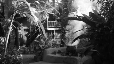 Indien - South Goa - Goa New Year's: Where the Sun Sets and the Party Never Stops - 1