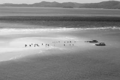 World - Whitehaven Beach - Neuseeland, Australien & Bali 