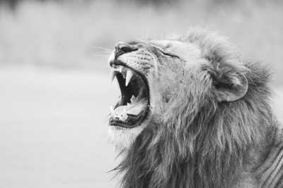 Mauritius - Mauritius - Guided Adventure to Mauritius Island