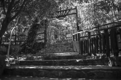 Griechenland - Athens - Athens with a local! Explore Neighbourhoods, Traditional Musical Fiestas, History and Food! - 4