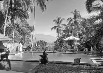 Indonesia - Oase Van Java - Hiking Mount Andong: Mountian for Beginner, Outdoor Activity With Stunning Scene in Indonesia - 1