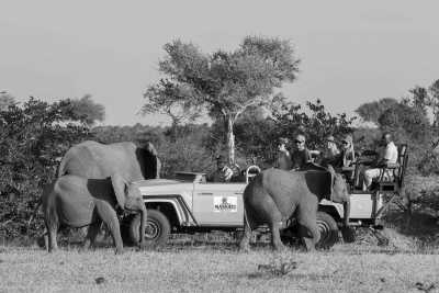 Sub-Saharan Africa - Maun - All-Inclusive - The Best of Africa 10 days Safari