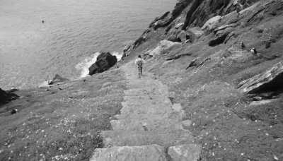 Ireland - Skellig Islands - Discover the Magic of Ireland 🇨🇮🍀🍺🧙🏼‍♂️ - 4