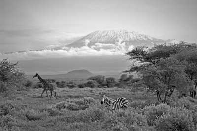 Kenya - Amboseli National Park - Kenya Safari 🇰🇪​🐘​ Amboseli National Park - Private sharing room (fits 2 guest) - 3
