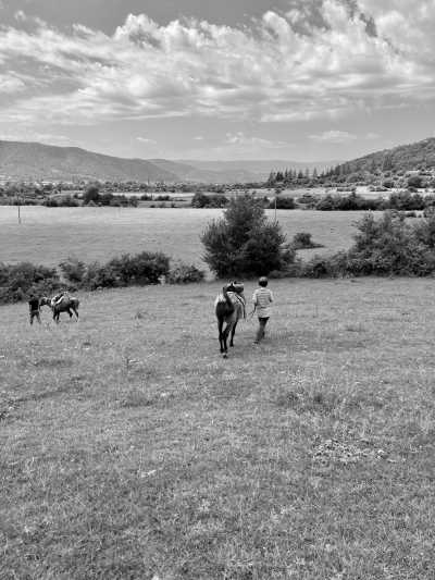 Georgia - Jokolo - 7-Day Adventure in Eastern Georgia: Exploring Tbilisi-the Capital, Kakheti Wine Country, and Remote Pankisi Valley - 2