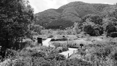 Japan - Hakone - Unwinding in Hakone, Japan: A 3 Day Escape to Nature's Paradise - 2