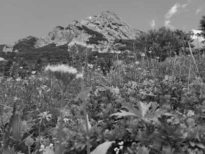 Europa - Freikofel - Cross Country Hiking: Italy-Austria-Slovenia🏞️ Rafting and Hidden Gems (Guided hike) - 1