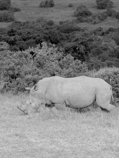 Südafrika - Albertinia - 🌞Ultimate 10-Day South Africa Road Trip🇿🇦Cape Town & The Garden Route – 🌊Adventure, Nature & Epic Vibes! - 19