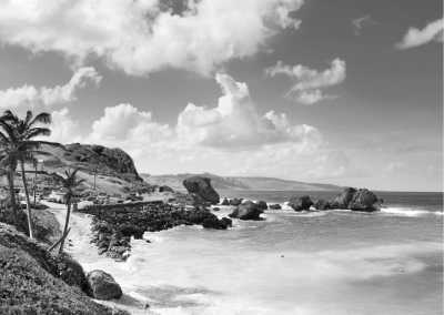 World - Sun, Sea, and Santa: Christmas Magic Awaits in Barbados! - JoinMyTrip