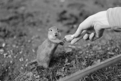 Slovakia - Tatralandia - Explore Slovakia - Roadtrip in nature full of adventures, wellness and activities surrounded with beautiful mountains - 2