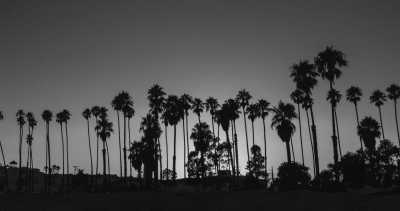 United States - Yosemite-Nationalpark - Road trip durch die Westküste der USA - 1