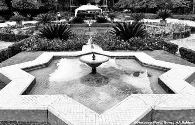 Marokko - Fes - Discover the Hidden Gems of Fez: A Journey Through Morocco's Cultural Capital - 8